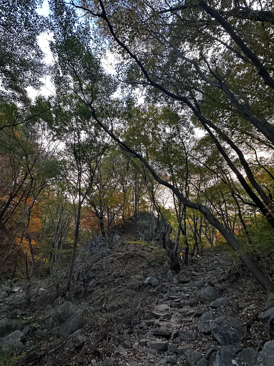 등산로 초입